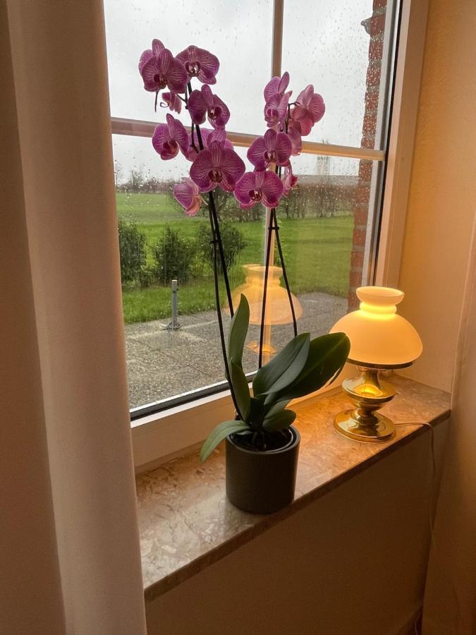 Meine Ferienwohnung Fehmarn Exteriér fotografie